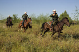 Mexican cartels give members ‘permission’ to shoot US Border Patrol agents…